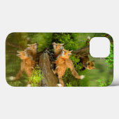 USA, Minnesota, Sandstone, Minnesota Wildlife 7 Case-Mate iPhone Case (Achterkant (horizontaal))