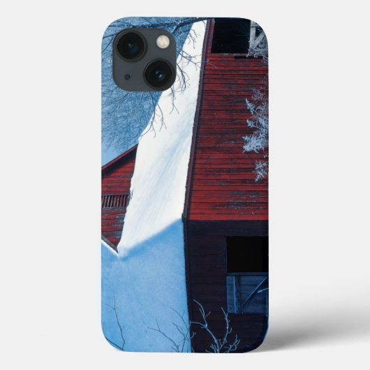 USA, Missouri, Jackson County, Fleming Park Case-Mate iPhone Case (Achterkant)