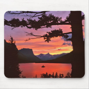 USA, Montana, Glacier National Park. Landschap Muismat