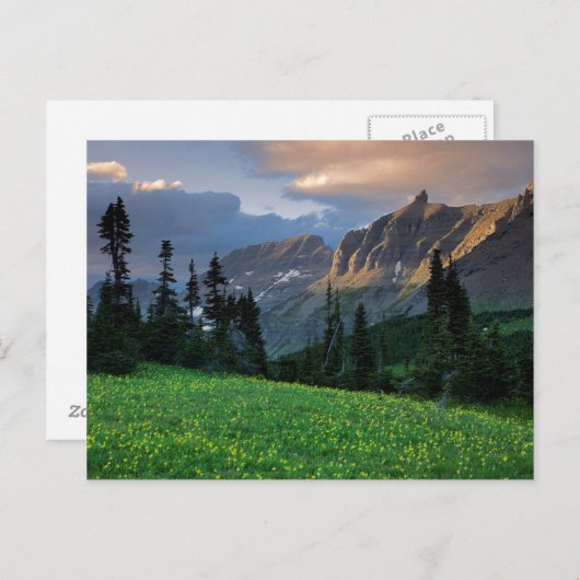 USA, Montana, Glacier National Park, Logan Pass Briefkaart (Voorkant / Achterkant)