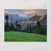 USA, Montana, Glacier National Park, Logan Pass Briefkaart (Voorkant)