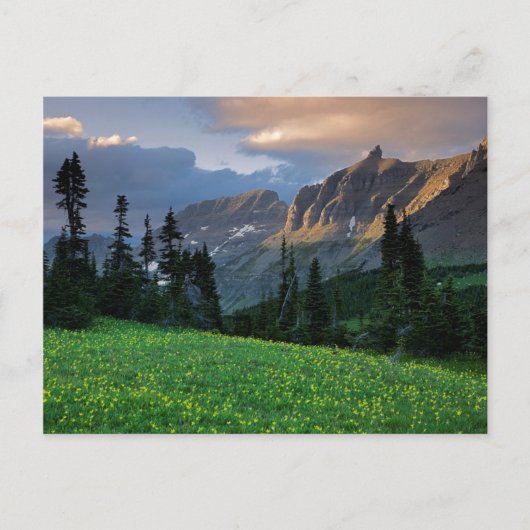 USA, Montana, Glacier National Park, Logan Pass Briefkaart (Voorkant)