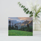 USA, Montana, Glacier National Park, Logan Pass Briefkaart (Staand voorkant)