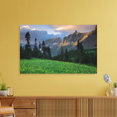 USA, Montana, Glacier National Park, Logan Pass Canvas Afdruk (Insitu (Woonkamer))