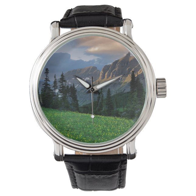 USA, Montana, Glacier National Park, Logan Pass Horloge (Voorkant)