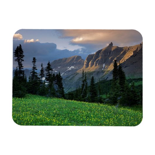 USA, Montana, Glacier National Park, Logan Pass Magneet (Horizontaal)