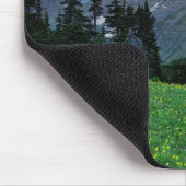 USA, Montana, Glacier National Park, Logan Pass Muismat (Hoek)