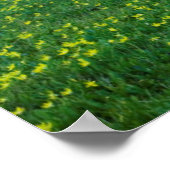 USA, Montana, Glacier National Park, Logan Pass Poster (Hoek)