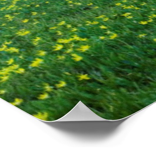 USA, Montana, Glacier National Park, Logan Pass Poster (Hoek)