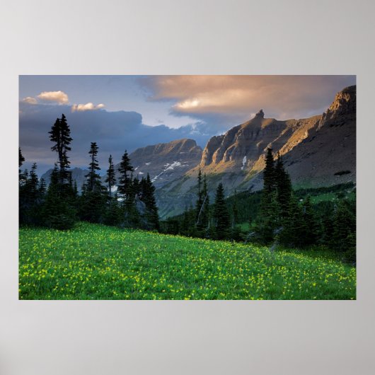 USA, Montana, Glacier National Park, Logan Pass Poster (Voorkant)
