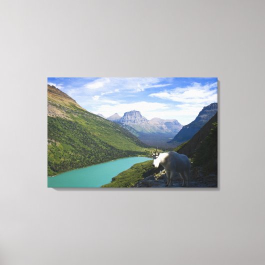 USA, Montana, Glacier National Park, Mountain Canvas Afdruk (Voorkant)