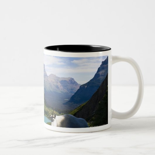 USA, Montana, Glacier National Park, Mountain Tweekleurige Koffiemok (Rechts)
