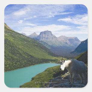 USA, Montana, Glacier National Park, Mountain Vierkante Sticker