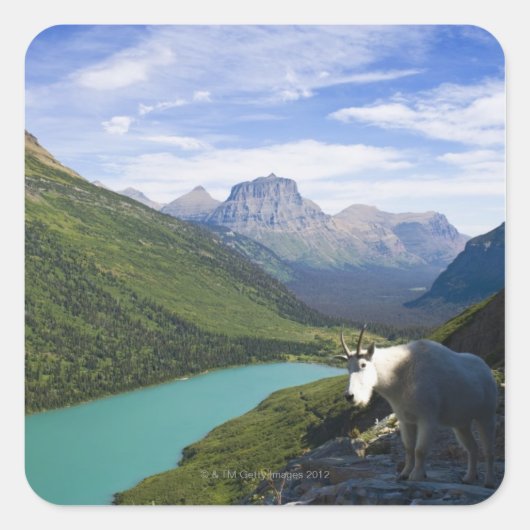 USA, Montana, Glacier National Park, Mountain Vierkante Sticker (Voorkant)