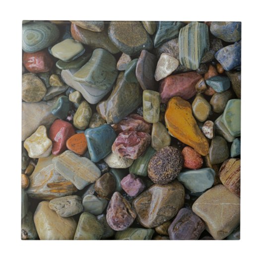 USA, Montana, Glacier National Park, Stones Tegeltje (Voorkant)