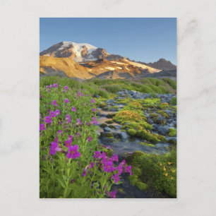 USA, Mt. Rainier National Park, Washington. Briefkaart
