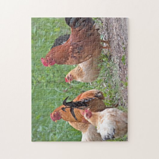 USA, Nebraska. Chickens Legpuzzel (Verticaal)