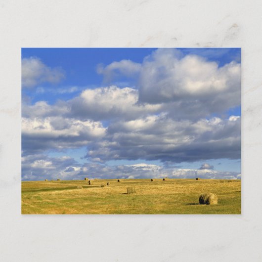 USA, Nebraska, Morrill County. Goudhooi Briefkaart (Voorkant)