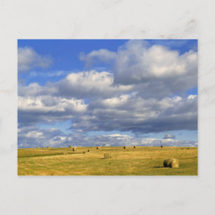 USA, Nebraska, Morrill County. Goudhooi Briefkaart