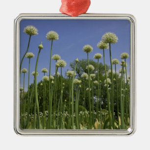 USA, New England, Massachusetts, Boston, 3 Metalen Ornament