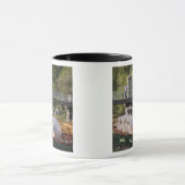 USA, New England, Massachusetts, Boston, Mok (Midden)