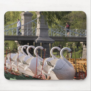 USA, New England, Massachusetts, Boston, Muismat