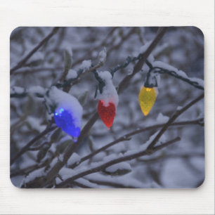 USA, New England, Massachusetts, Reading, 2 Muismat