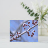 USA, New England, Massachusetts, Reading, 3 Briefkaart (Staand voorkant)