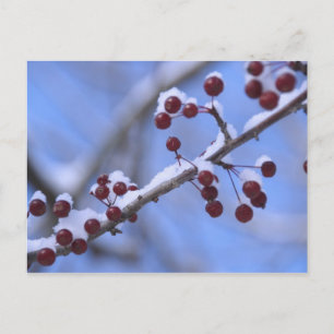 USA, New England, Massachusetts, Reading, 3 Briefkaart