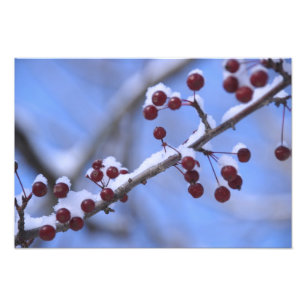 USA, New England, Massachusetts, Reading, 3 Foto Afdruk