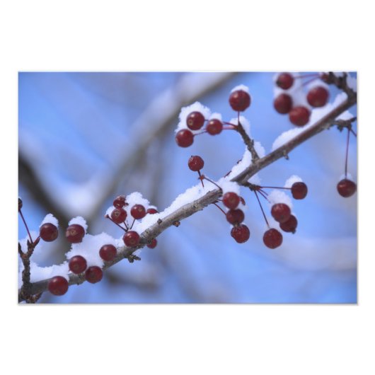 USA, New England, Massachusetts, Reading, 3 Foto Afdruk (Voorkant)