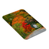 USA, New England, New Hampshire, Andover Magneet (Rechterzijde)