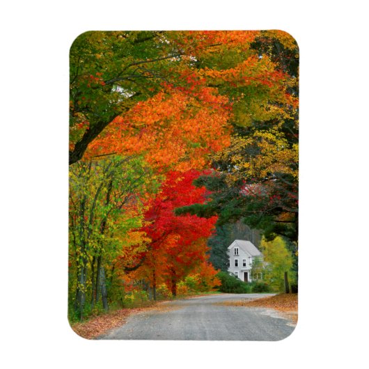 USA, New England, New Hampshire, Andover Magneet (Verticaal)