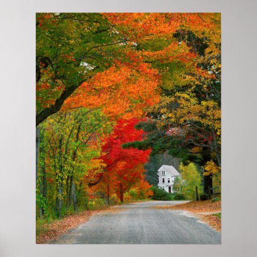 USA, New England, New Hampshire, Andover Poster (Voorkant)