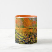 USA, New England, New Hampshire, Chocorua Mok (Midden)