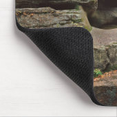 USA, New England, New Hampshire, White Mountains Muismat (Hoek)