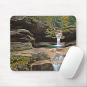 USA, New England, New Hampshire, White Mountains Muismat (Met muis)