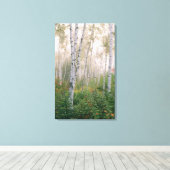 USA, New Hampshire. Birch trees in clearing fog Canvas Afdruk (Insitu (Houten vloer))