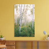 USA, New Hampshire. Birch trees in clearing fog Canvas Afdruk (Insitu (Woonkamer))