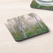 USA, New Hampshire. Bomen met baarmoeder Drankjes Onderzetter (Linkerzijde)