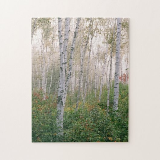 USA, New Hampshire. Bomen met baarmoeder Legpuzzel (Verticaal)