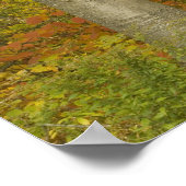 USA, New Hampshire, Livermore, White Mountain Poster (Hoek)