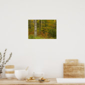 USA, New Hampshire, Livermore, White Mountain Poster (Keuken)