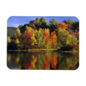 USA, New Hampshire, Moultonborough. Bomen in Magneet (Horizontaal)