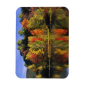 USA, New Hampshire, Moultonborough. Bomen in Magneet (Verticaal)
