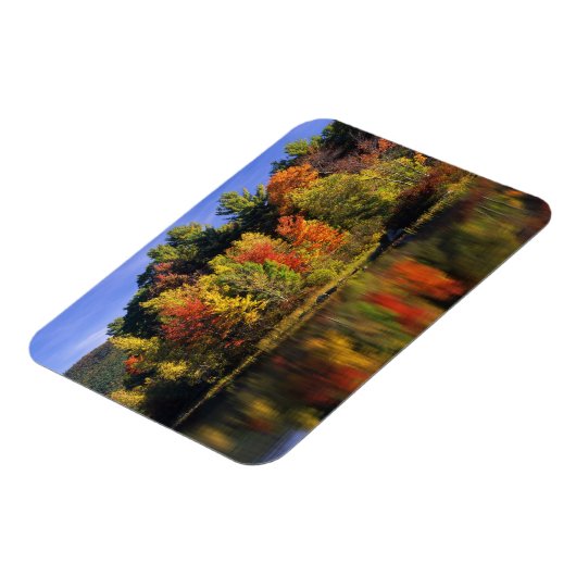 USA, New Hampshire, Moultonborough. Bomen in Magneet (Linkerzijde)