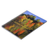 USA, New Hampshire, Moultonborough. Bomen in Notitieboek (Linkerzijde)