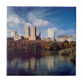 USA, New York City, Central Park, Lake Tegeltje (Voorkant)