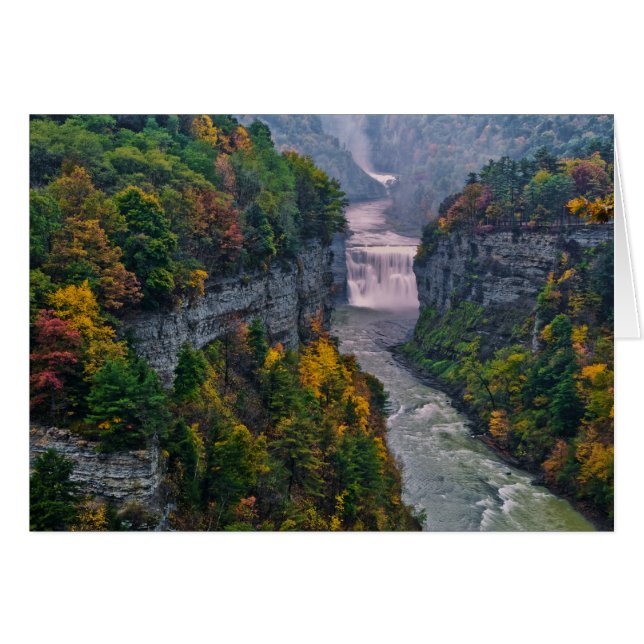 USA, New York, Letchworth State Park. de rivier en (Voorkant Horizontaal)