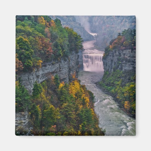 USA, New York, Letchworth State Park. de rivier en Magneet (Voorkant)